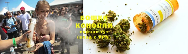 прущие грибы Армянск