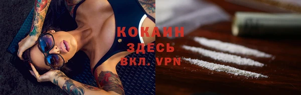 прущие грибы Армянск