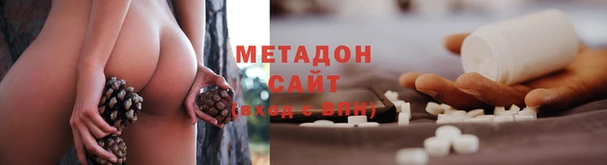прущие грибы Армянск