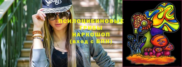винт Аркадак