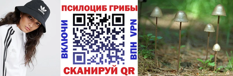 Купить где  Новоалтайск  Псилоцибиновые грибы мухоморы 